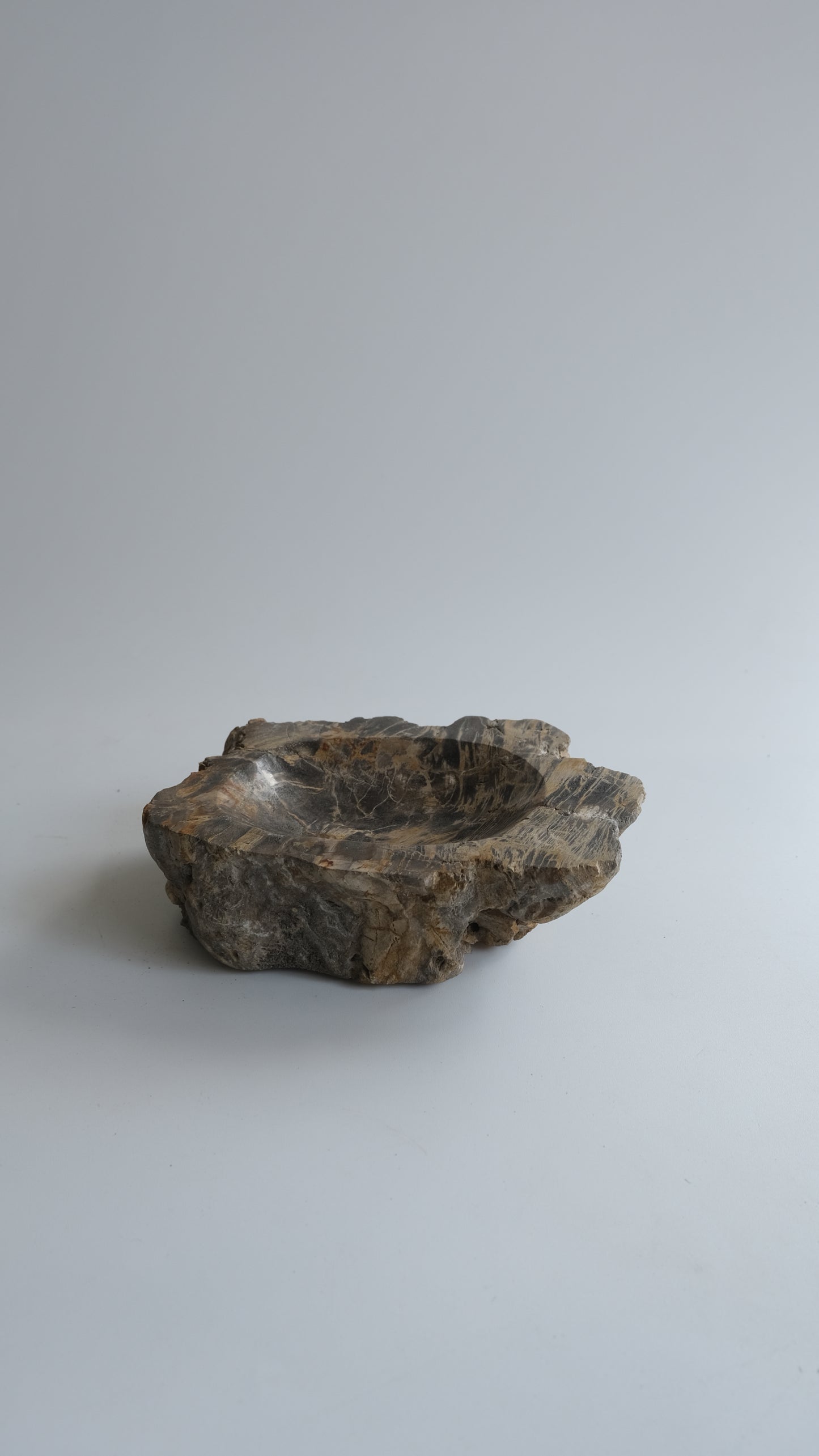 Accessory Tray #004