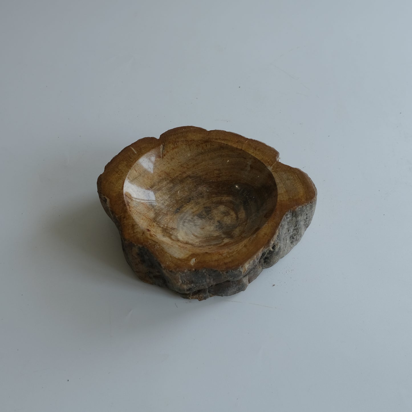 Accessory Tray #032