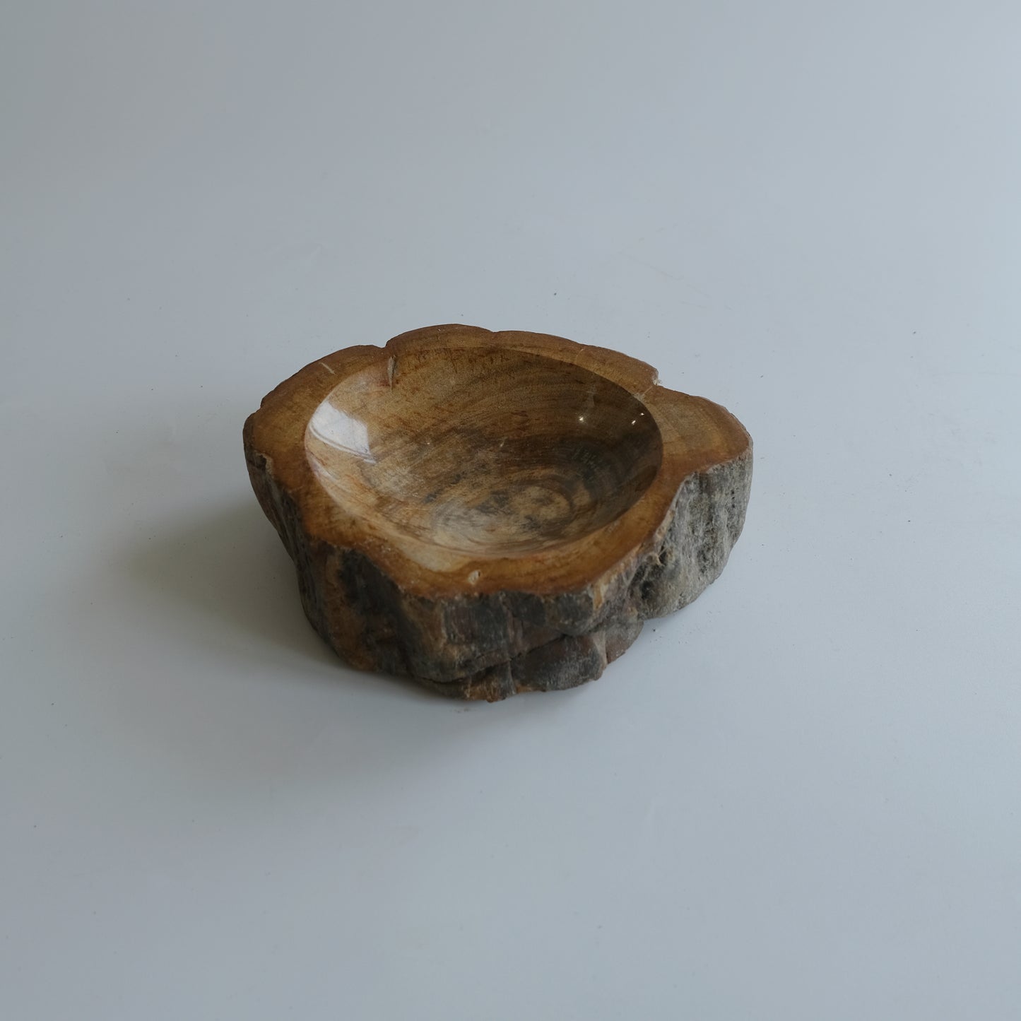 Accessory Tray #032