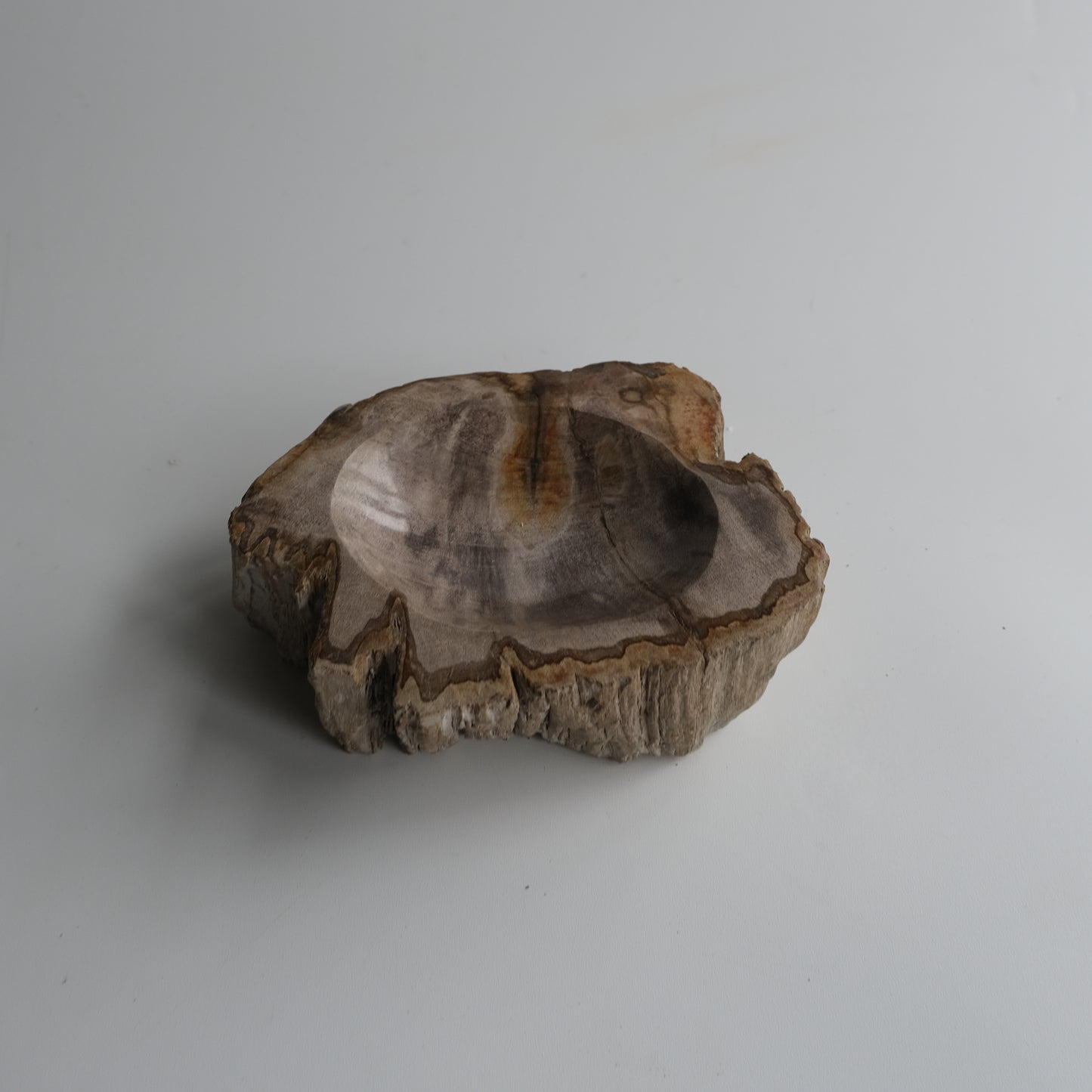 Accessory Tray #024
