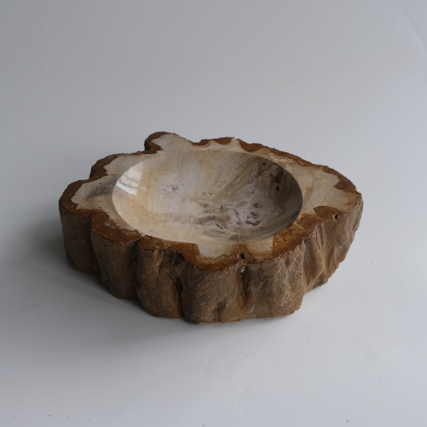 Accessory Tray #002