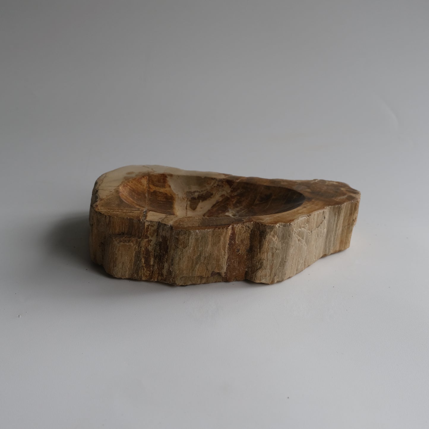 Accessory Tray #015