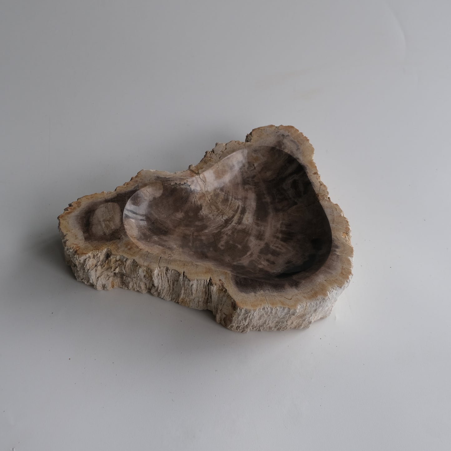 Accessory Tray #014