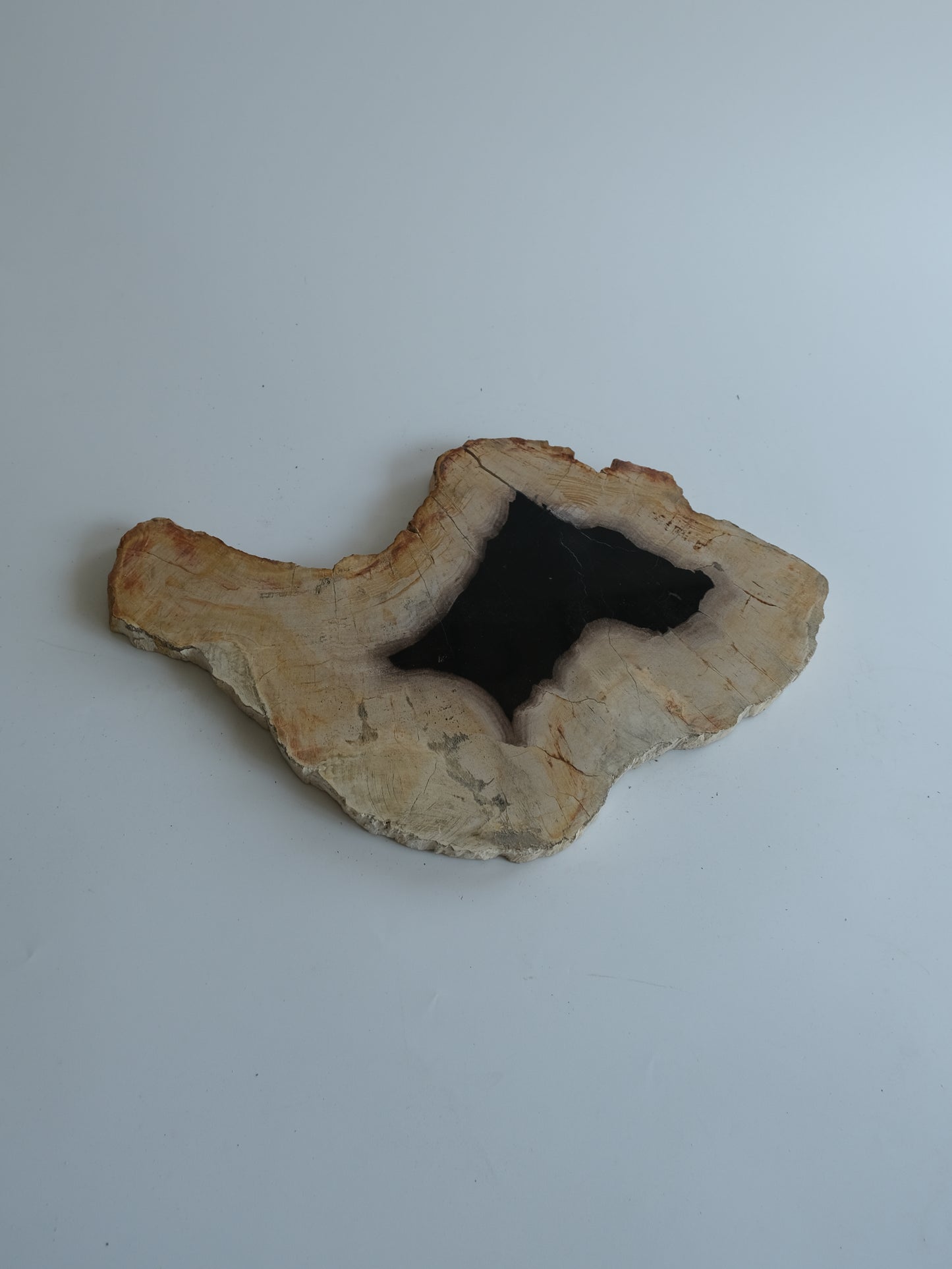 Wood Plate #032
