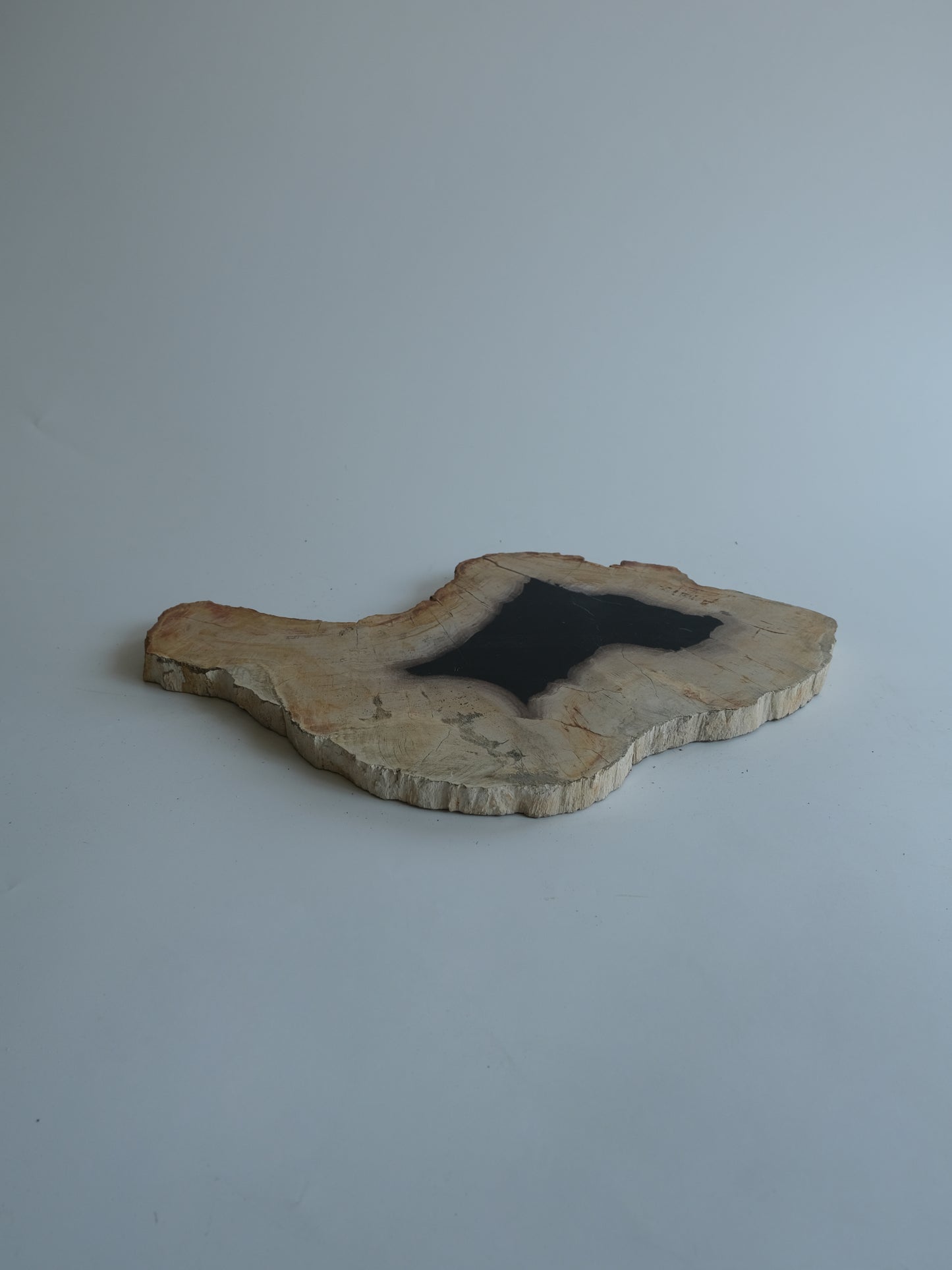 Wood Plate #032