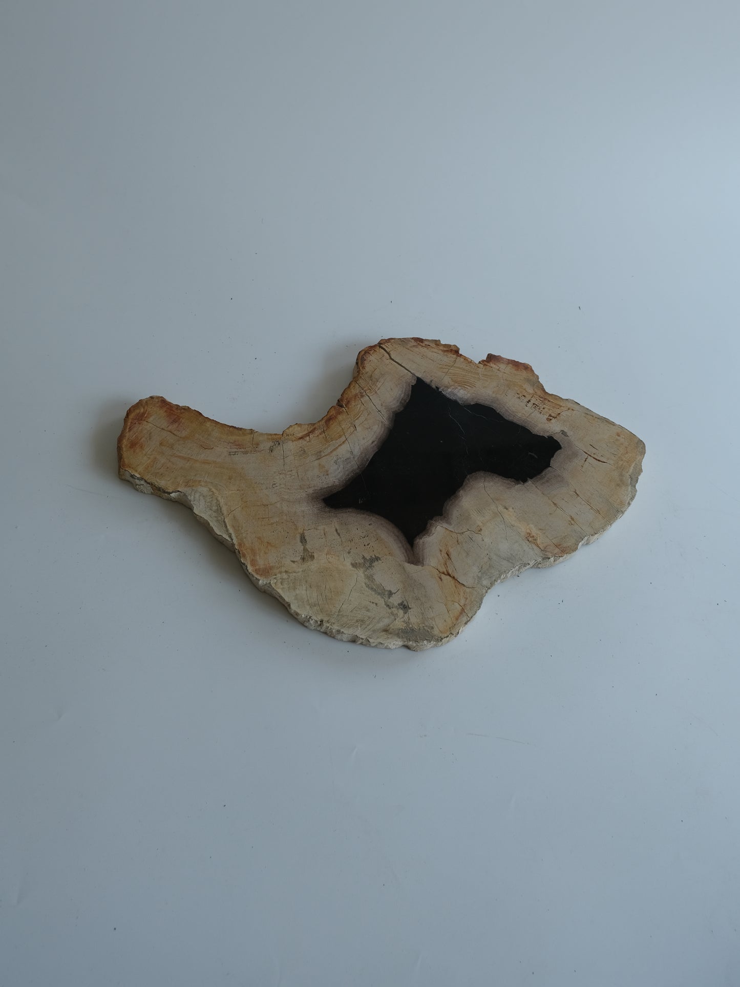Wood Plate #032