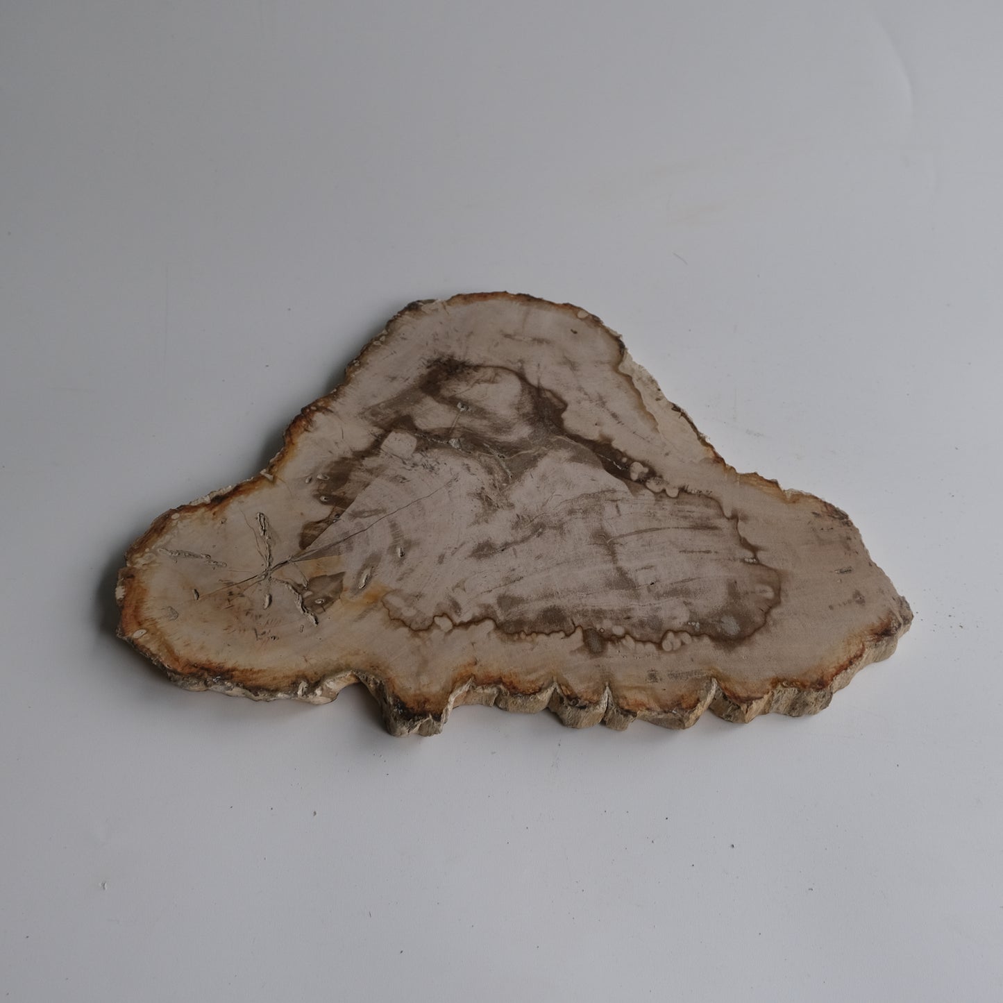Wood Plate #013