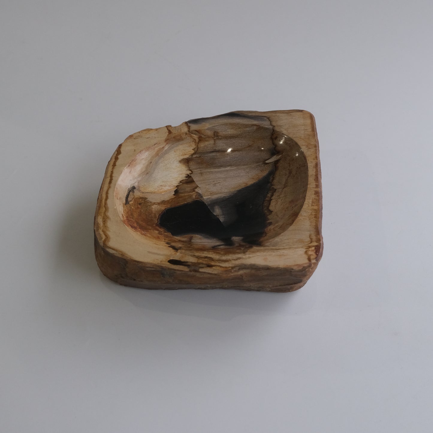 Accessory Tray #014