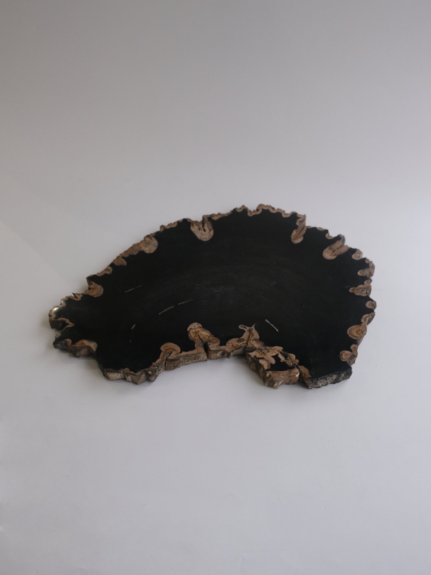 Wood Plate #003