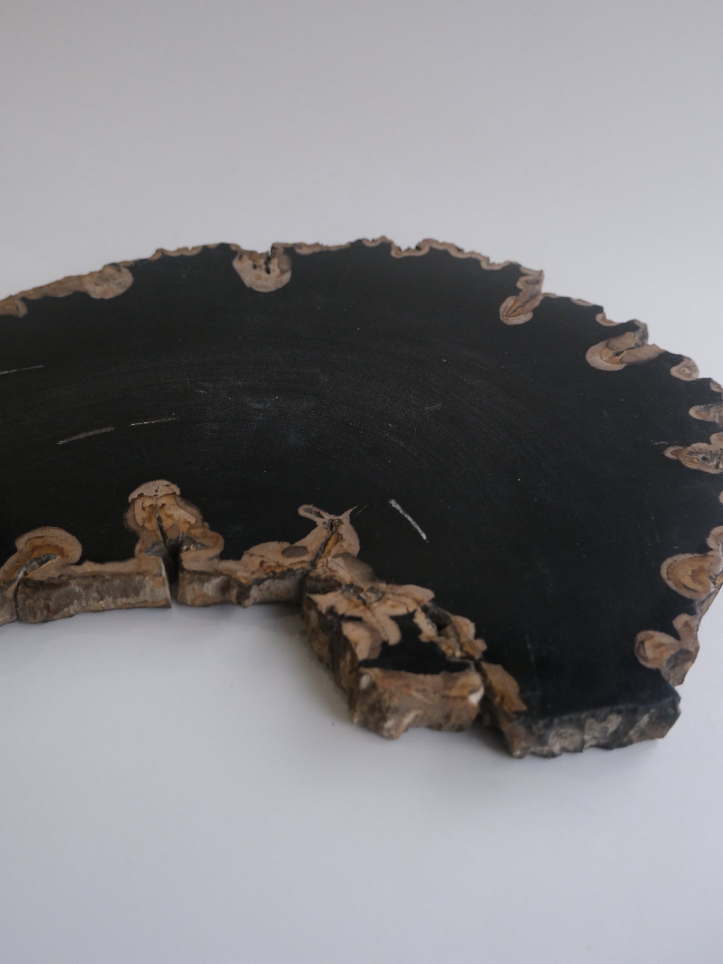 Wood Plate #003