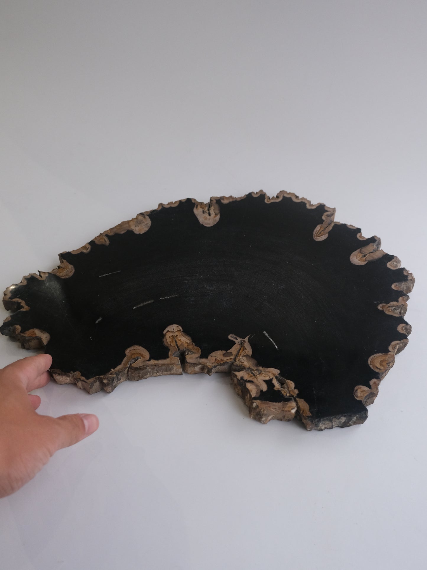 Wood Plate #003