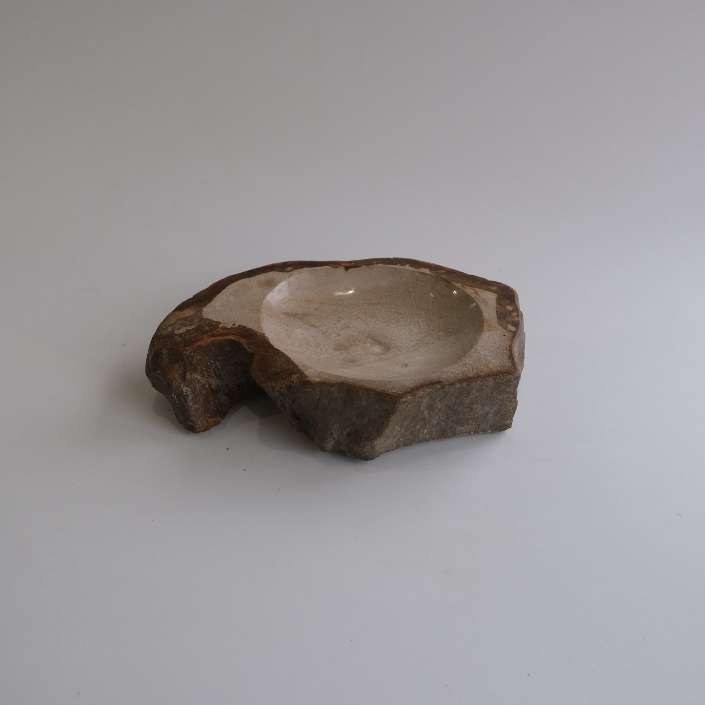 Accessory Tray #007