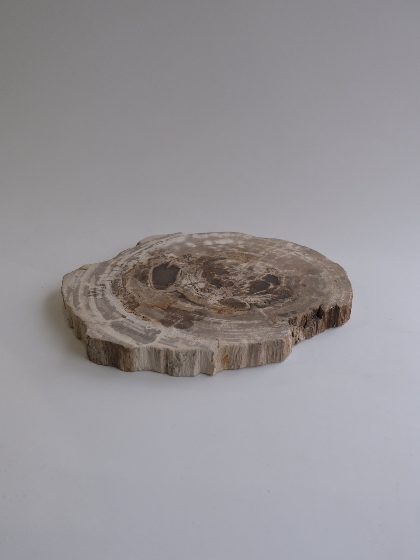 Wood Plate #017