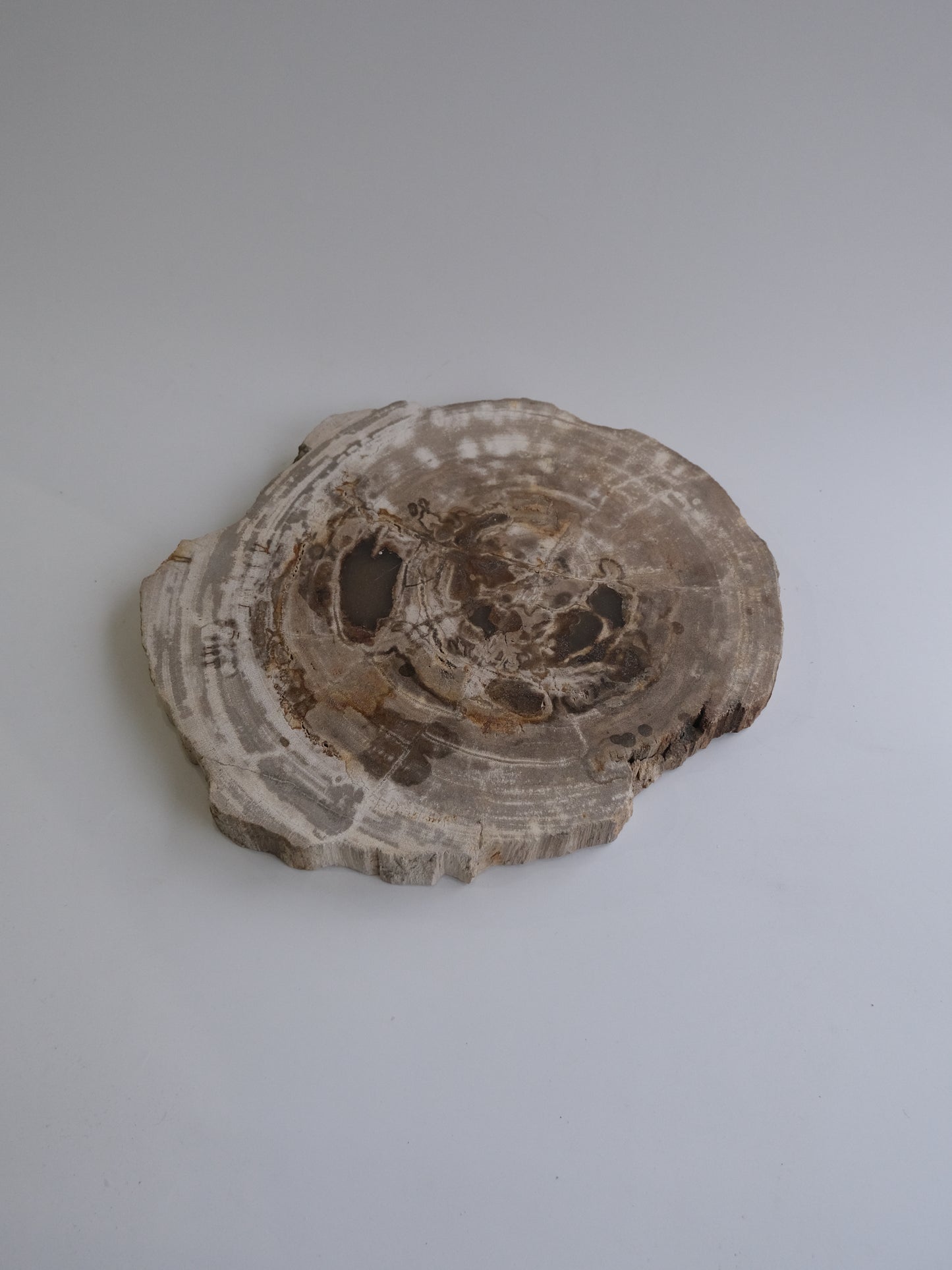 Wood Plate #017