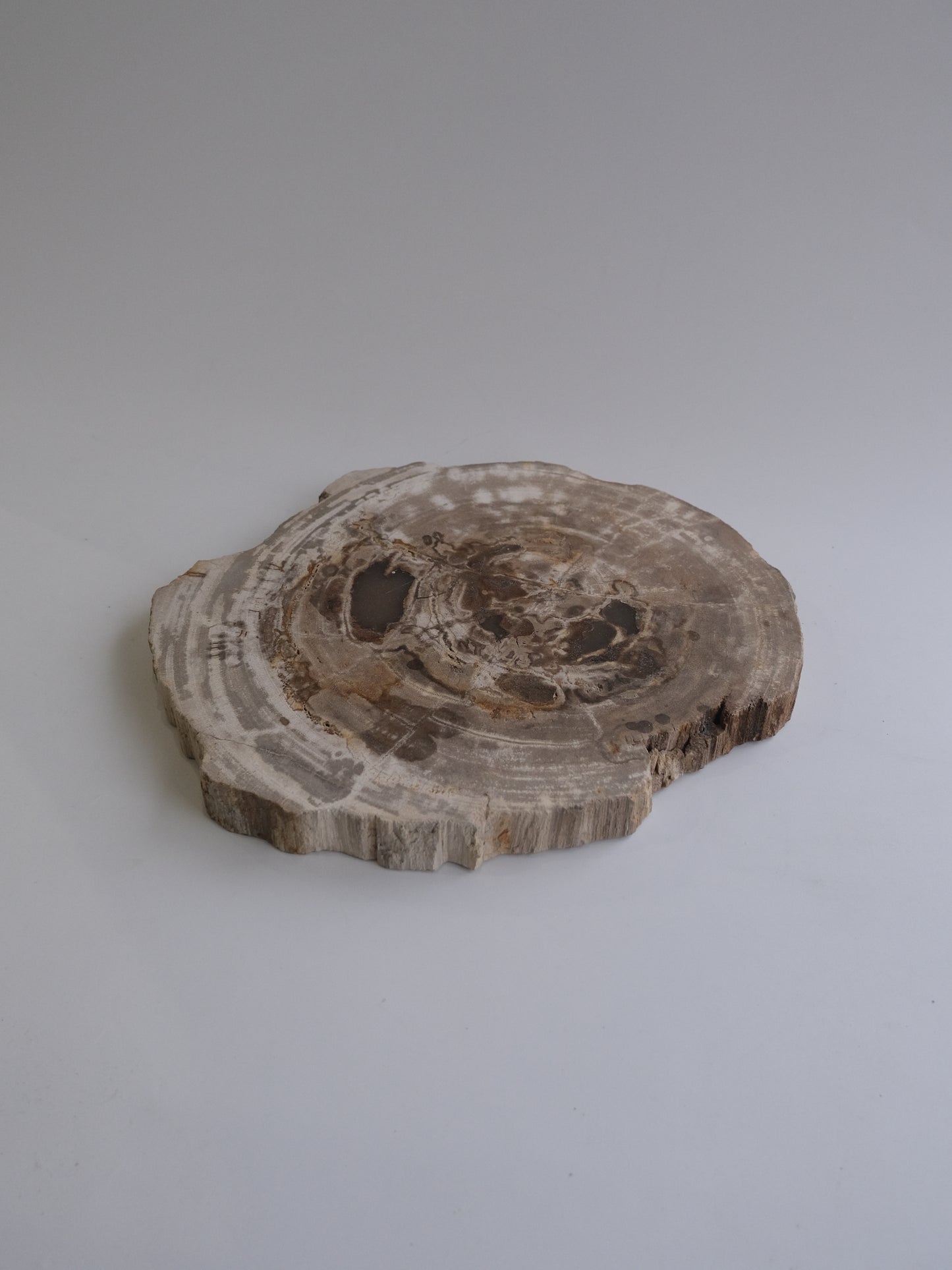Wood Plate #017