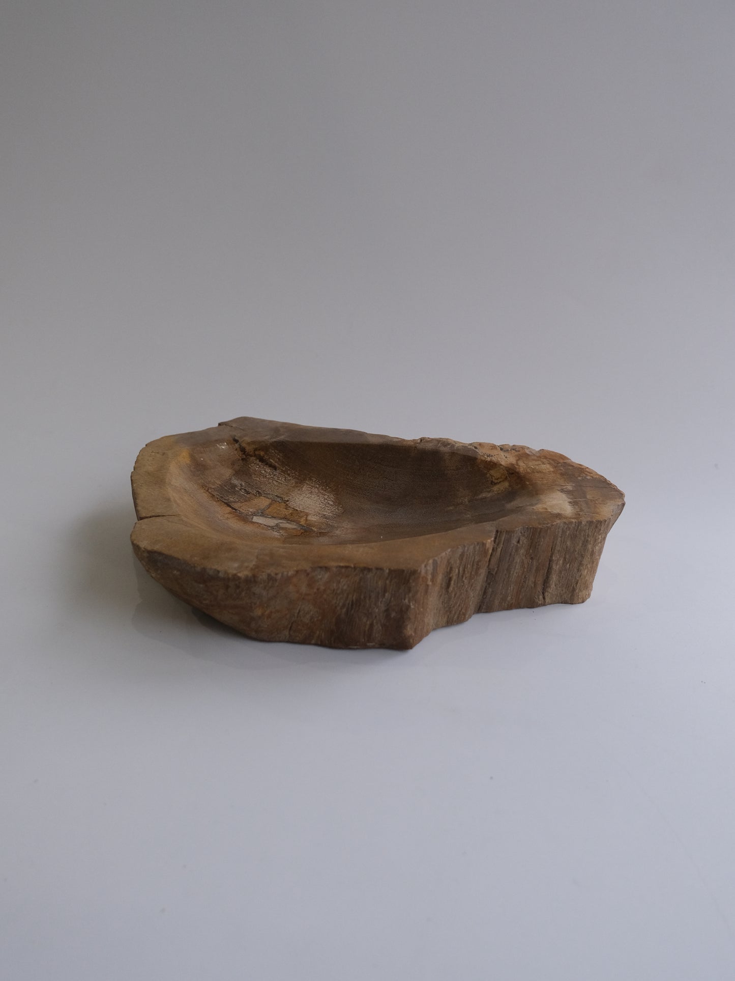 Accessory Tray #244
