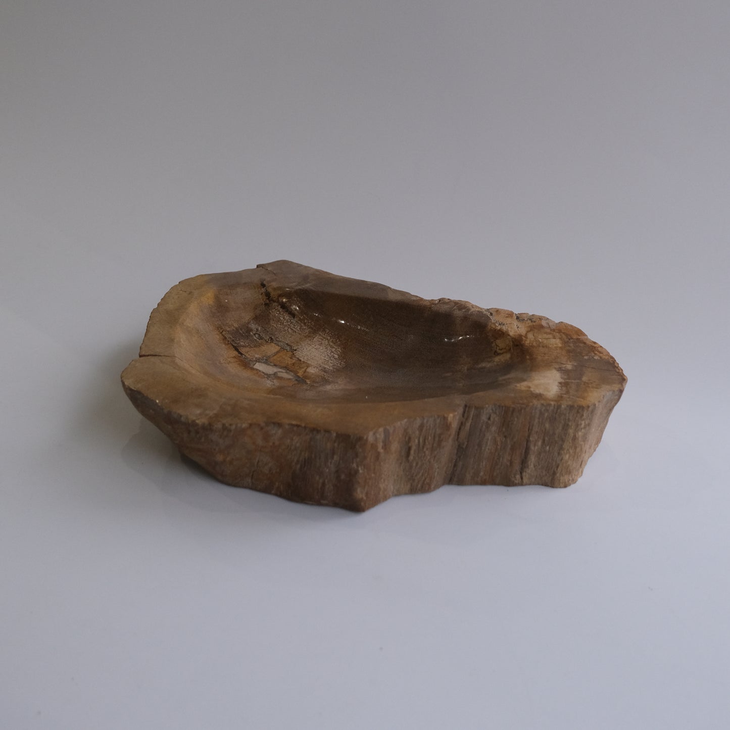 Accessory Tray #244