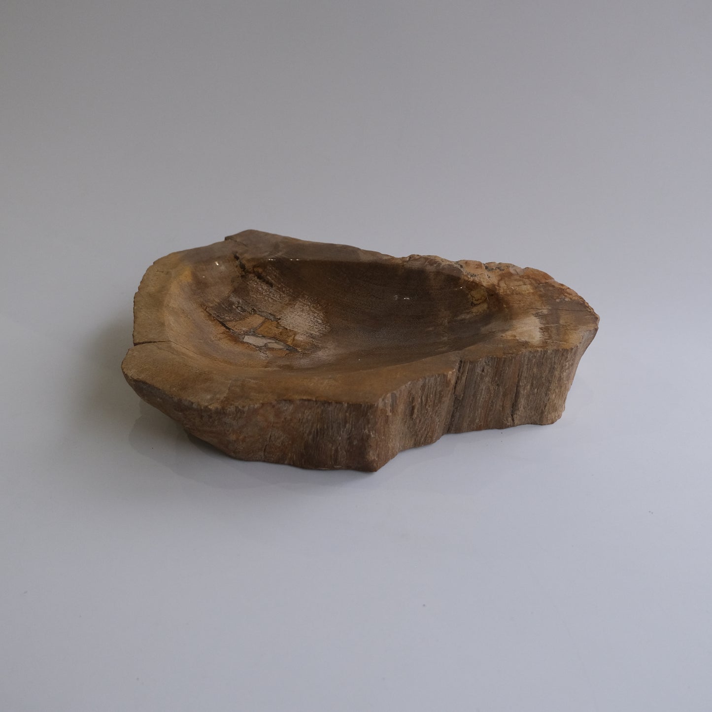 Accessory Tray #244