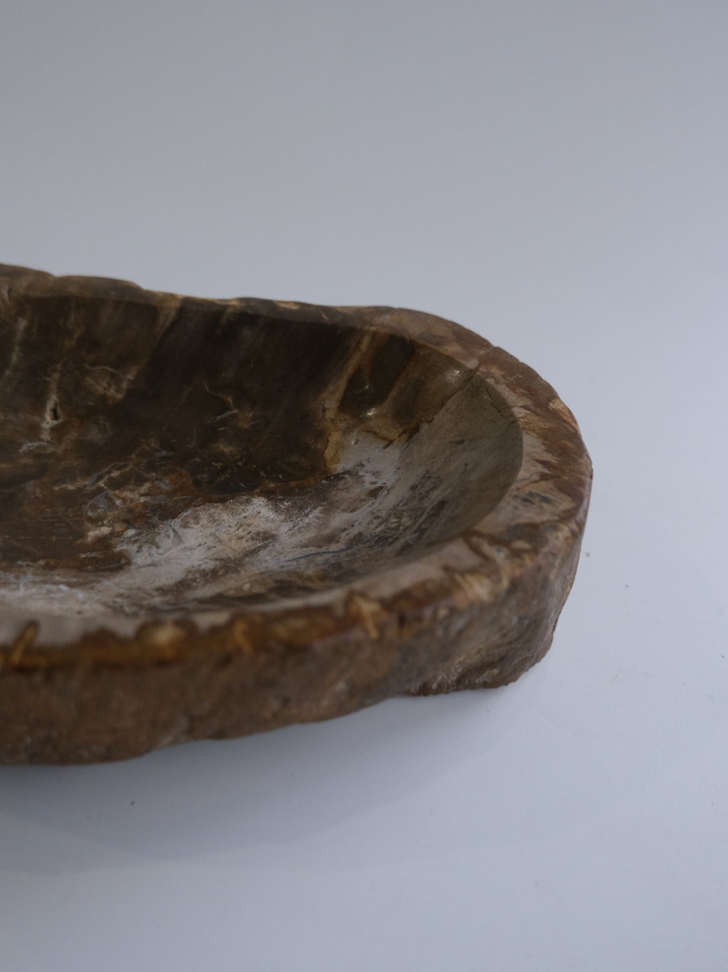 Accessory Tray #034