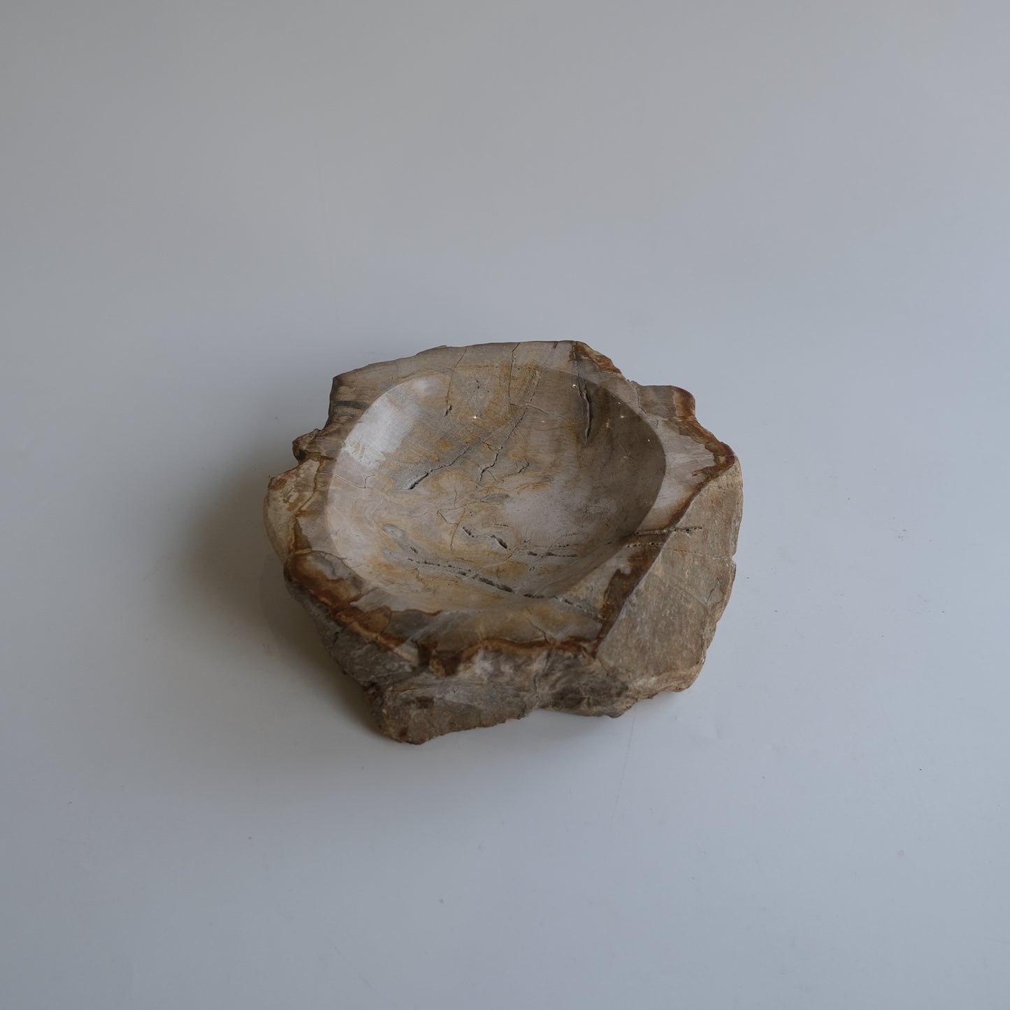 Accessory Tray #003