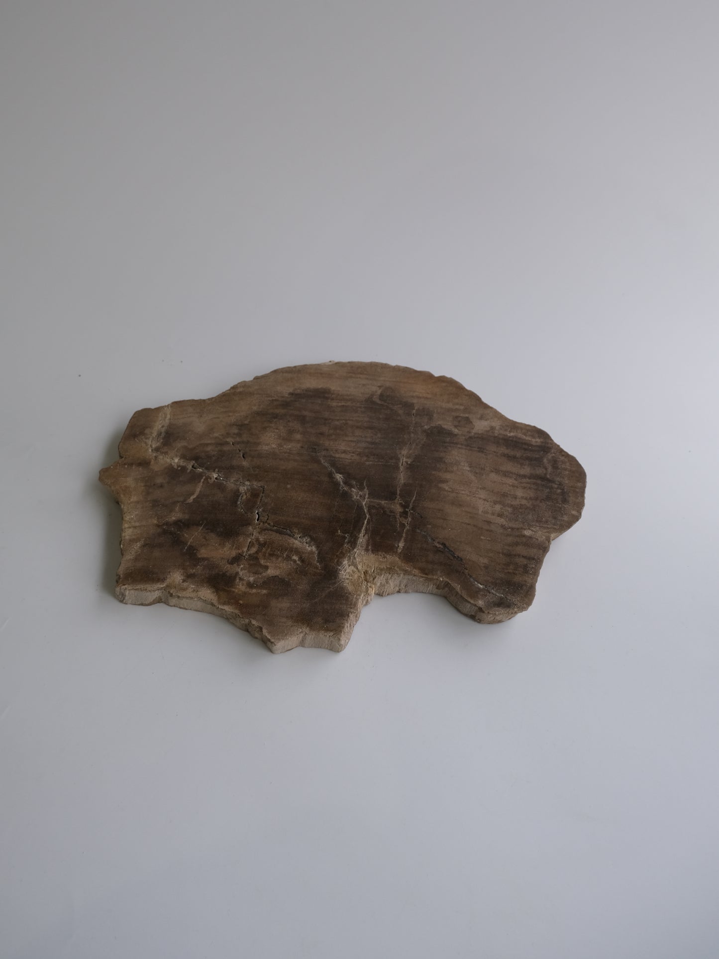 Wood Plate Medium #017