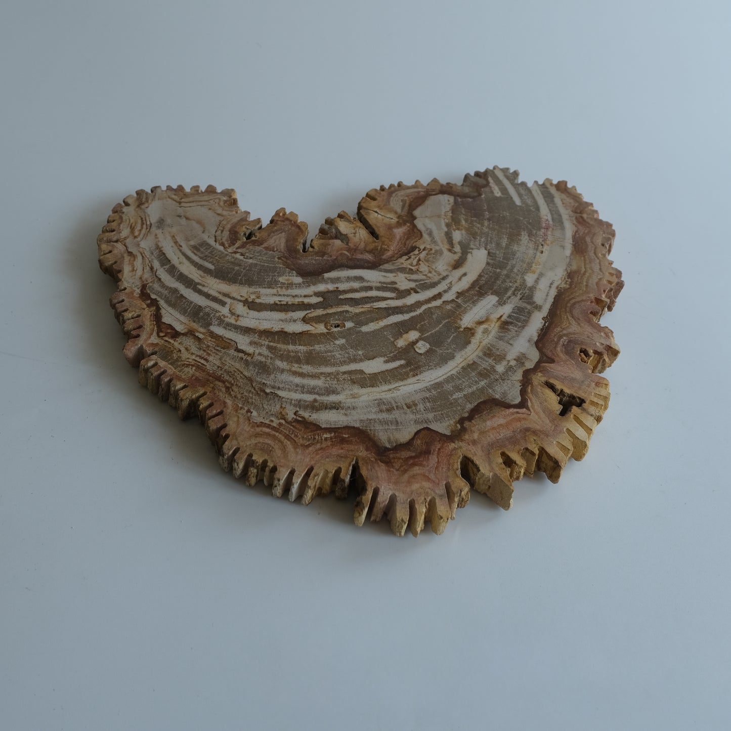 Wood Plate #034