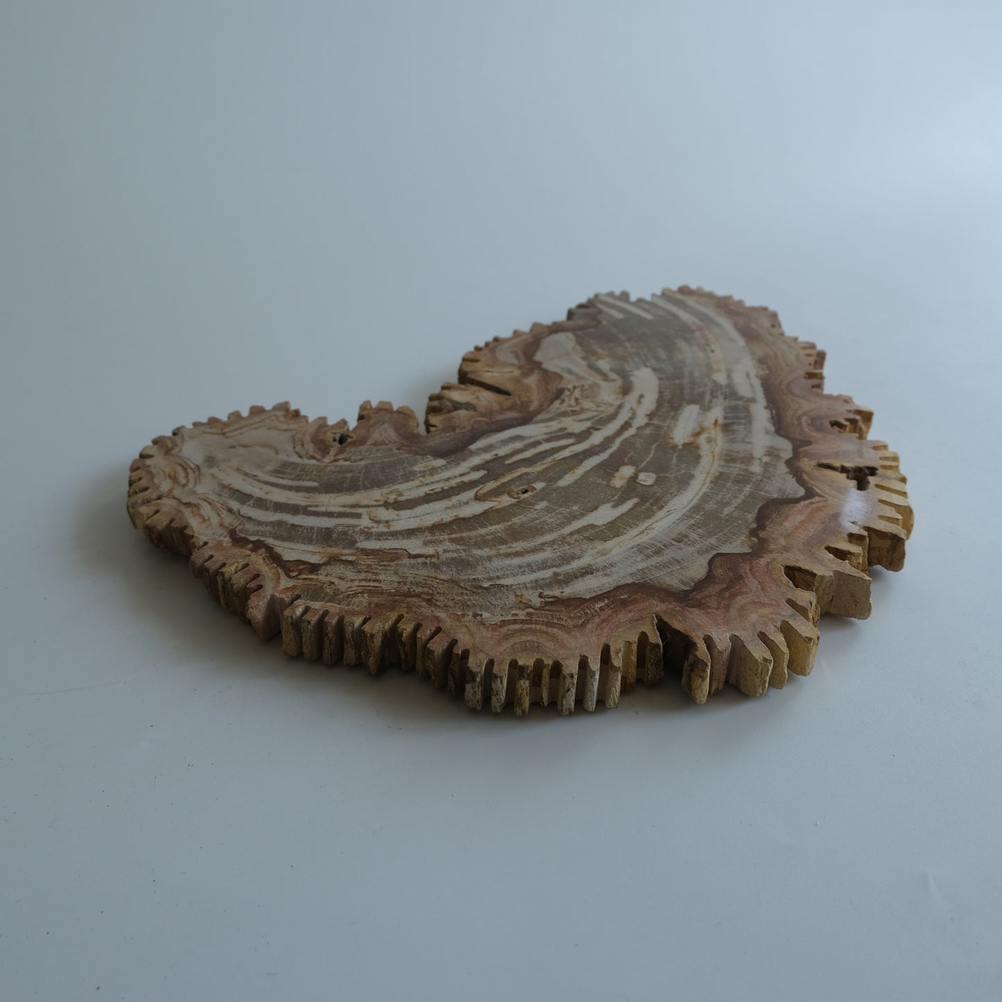Wood Plate #034