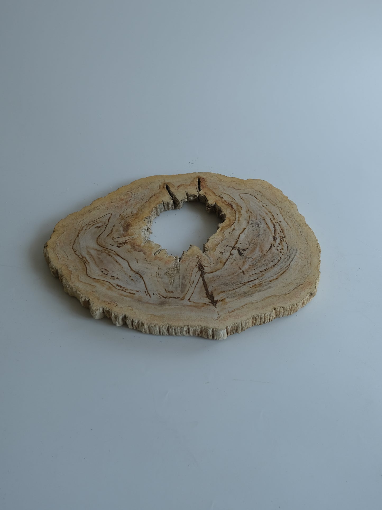 Wood Plate #035