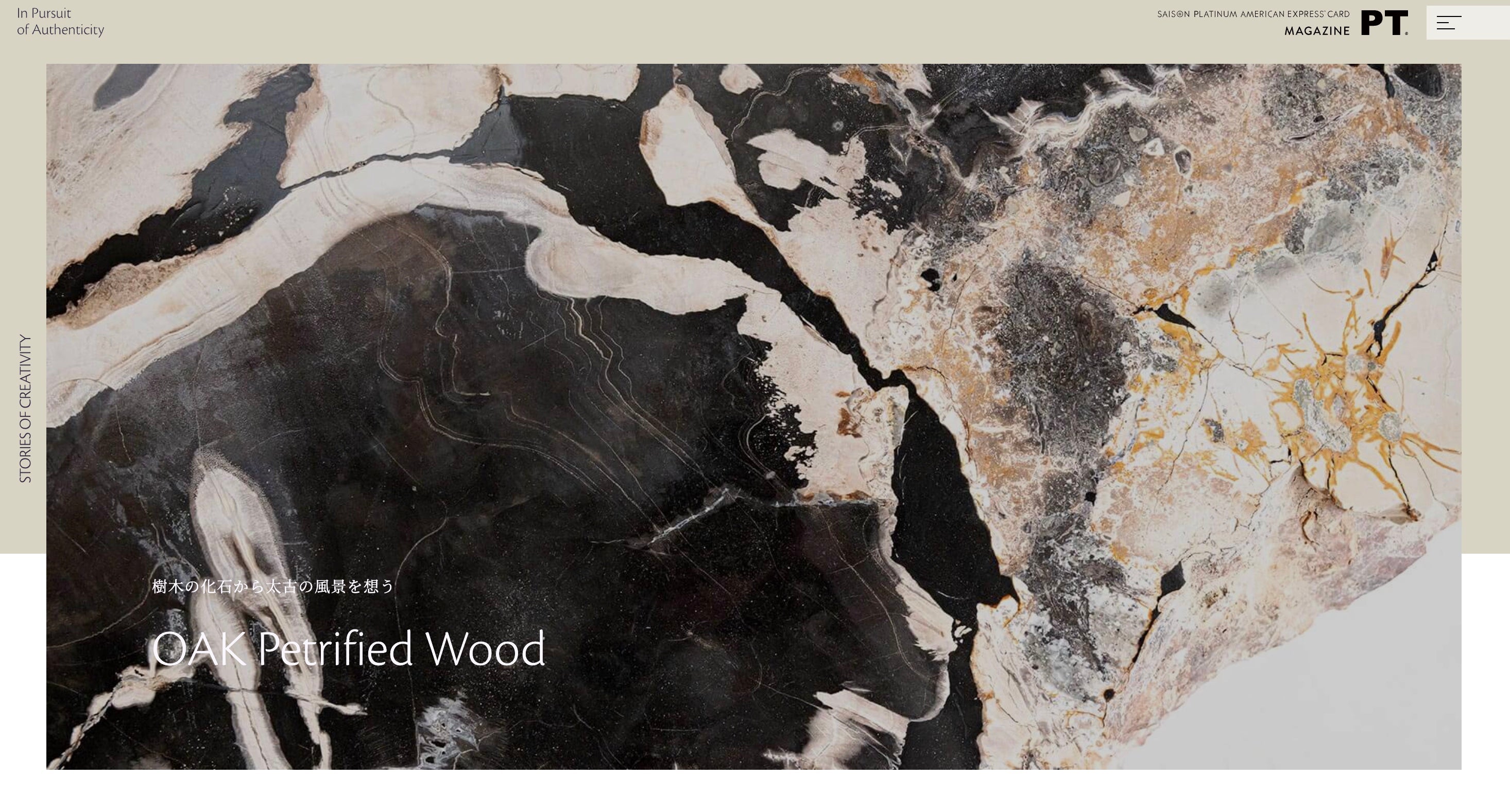 About – OAK Petrified Wood