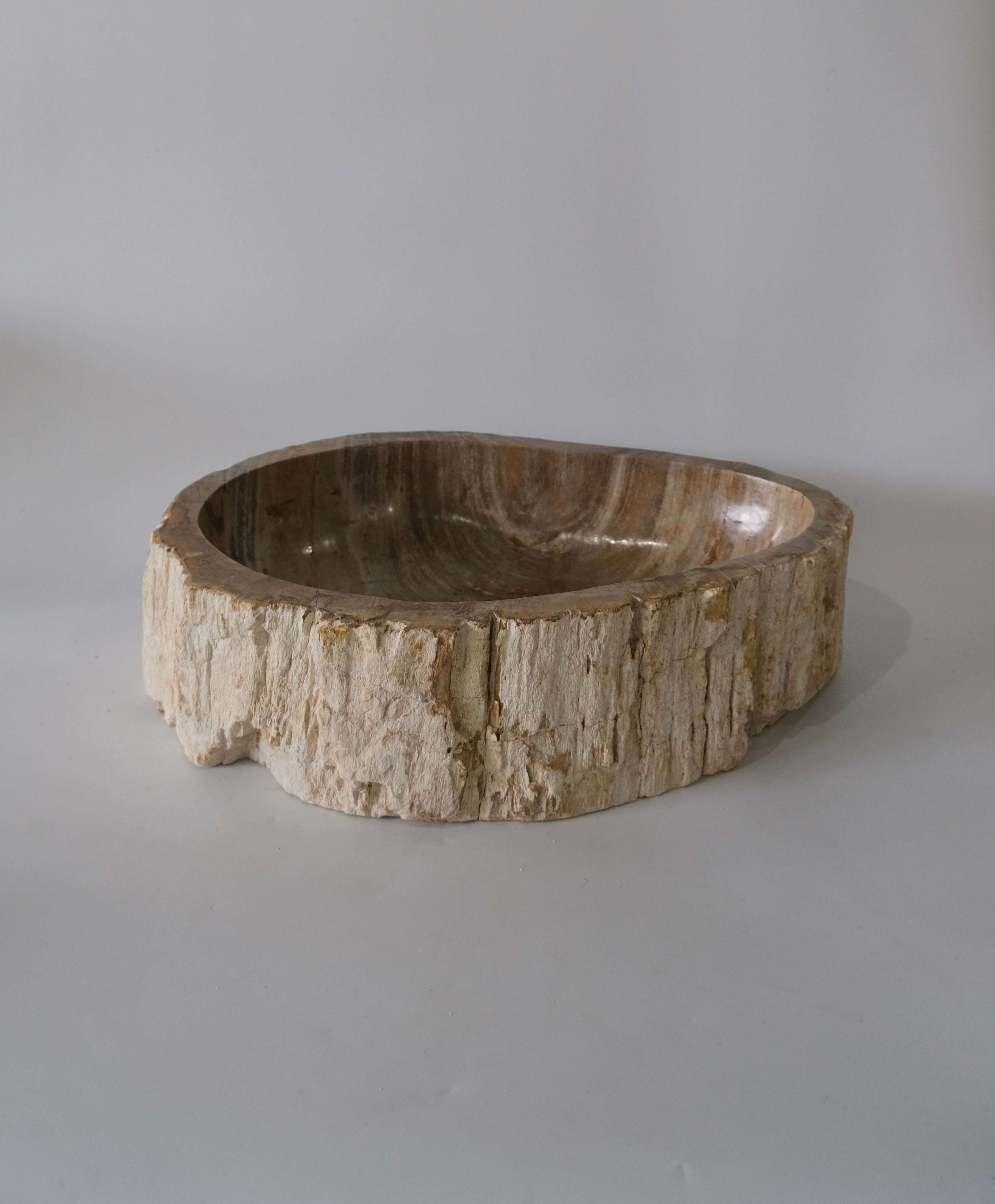 コレクション – OAK OAK 珪化木のトレー