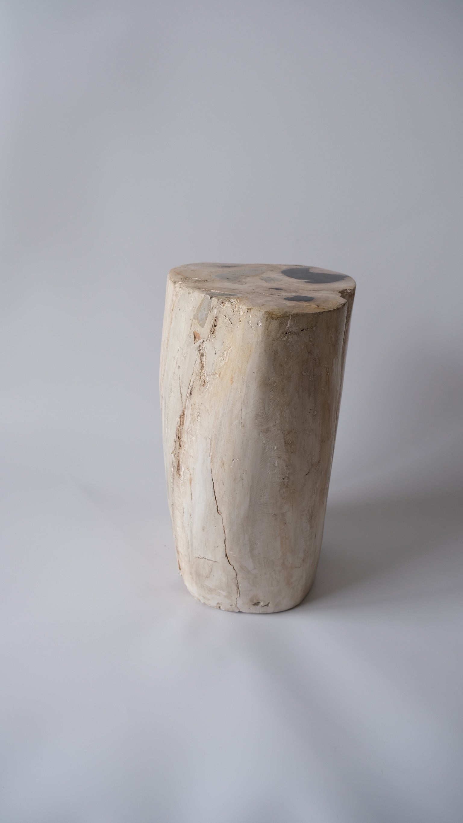 コレクション – OAK Petrified Wood