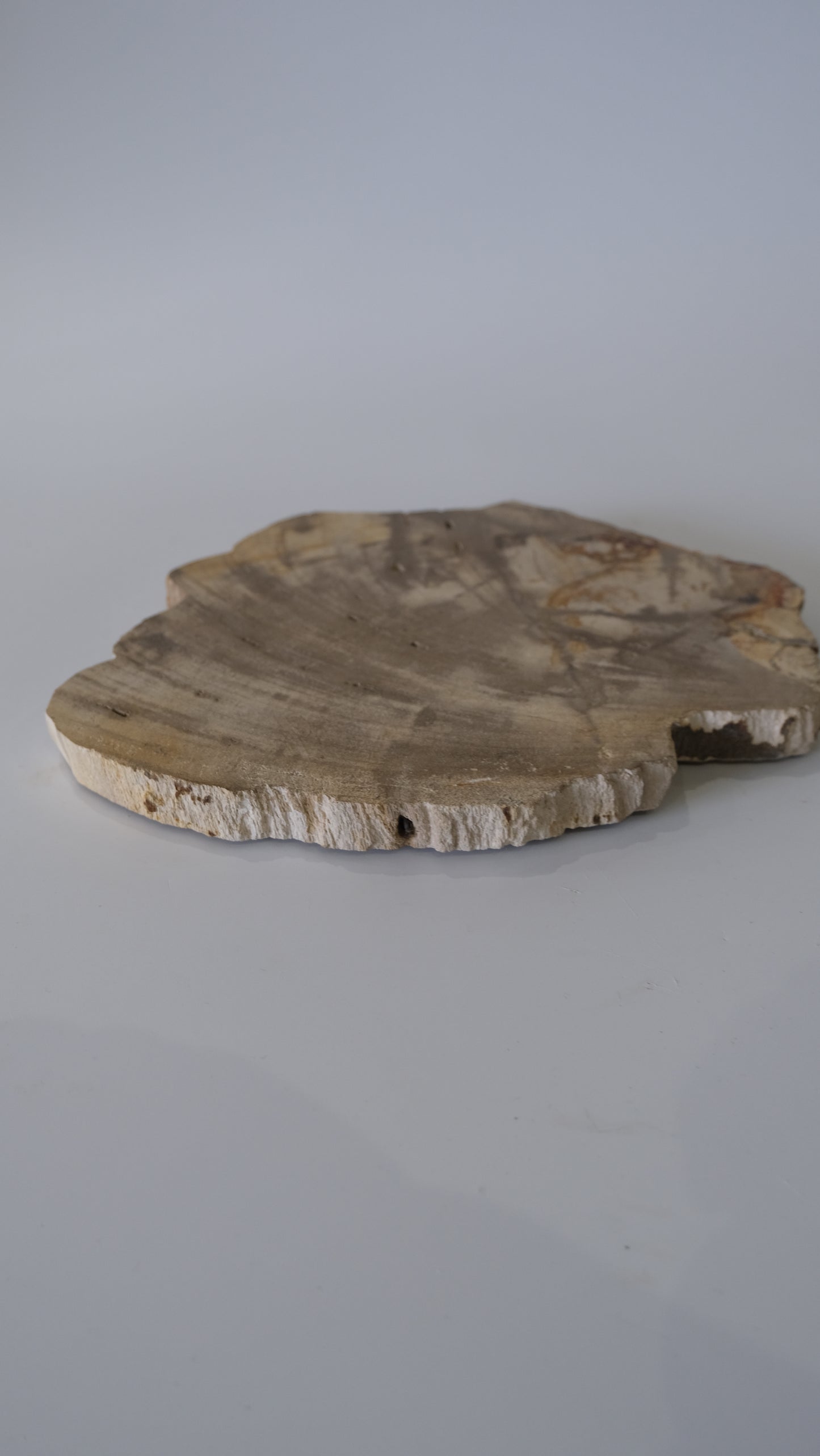 Wood Plate Medium (White)