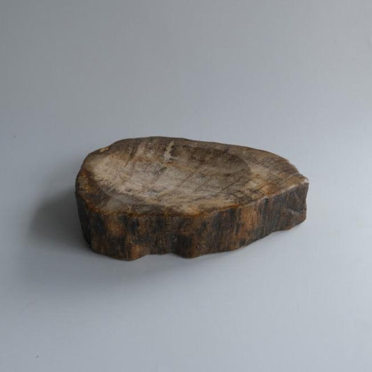 Accessory Tray #161