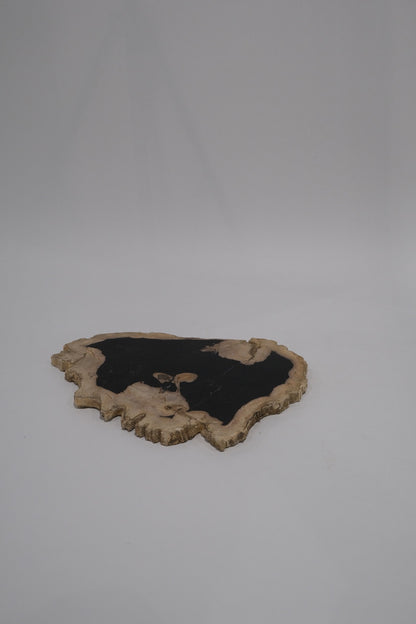 Wood Plate #003