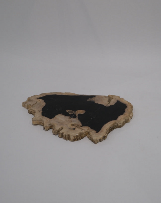 Wood Plate #003