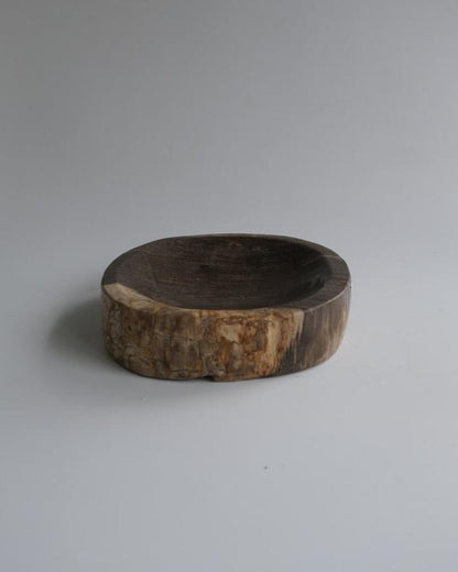 Accessory Tray #206