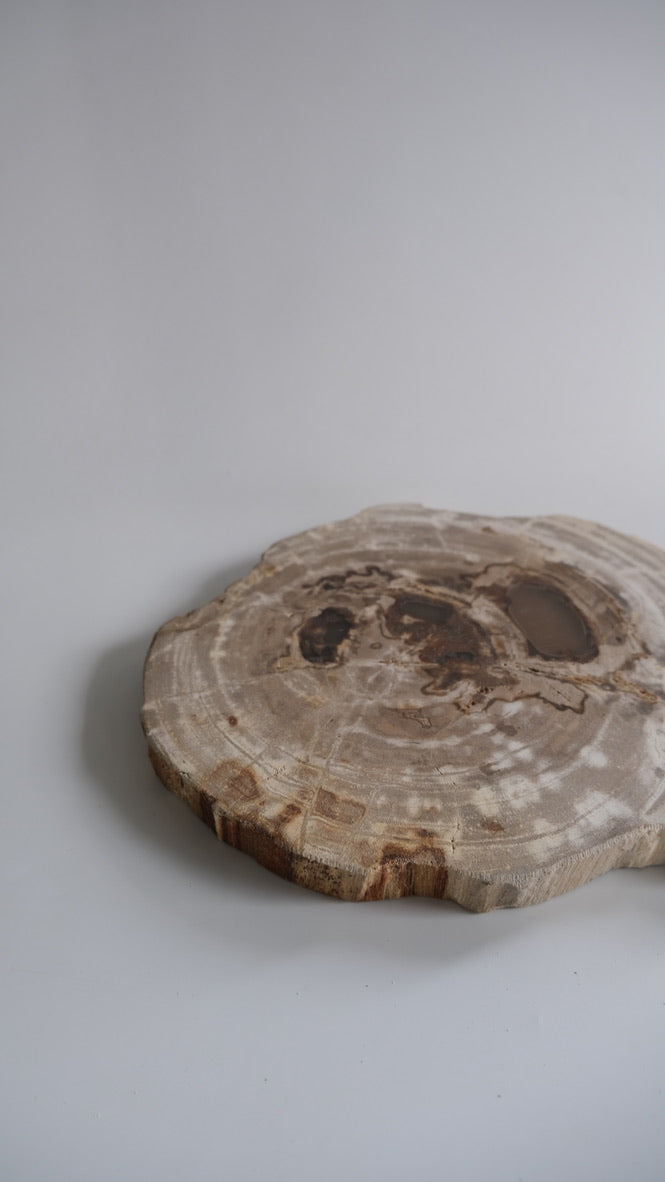 Wood Plate #017