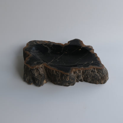 Accessory Tray #203