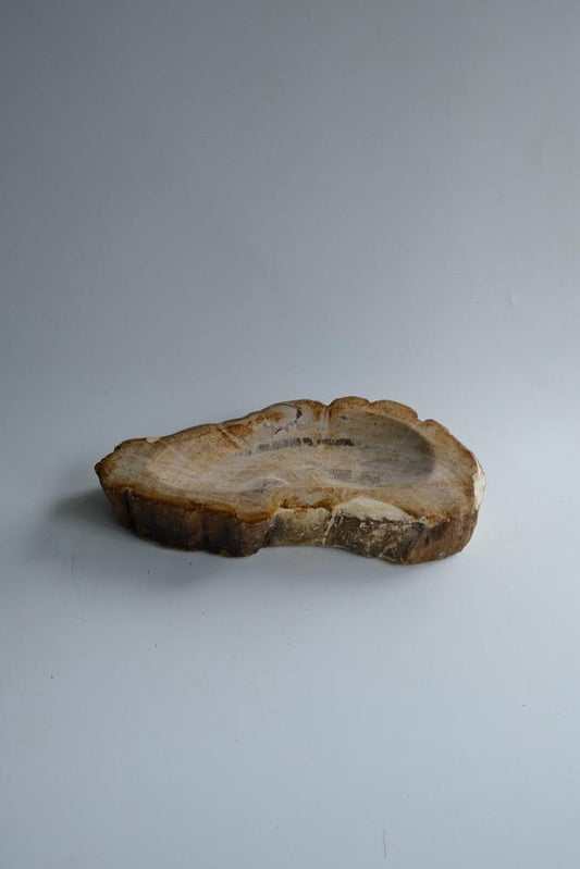Accessory Tray #178