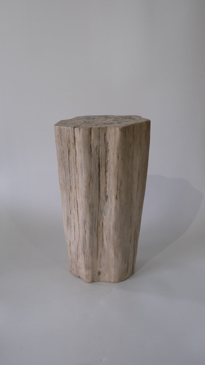 Stool #020