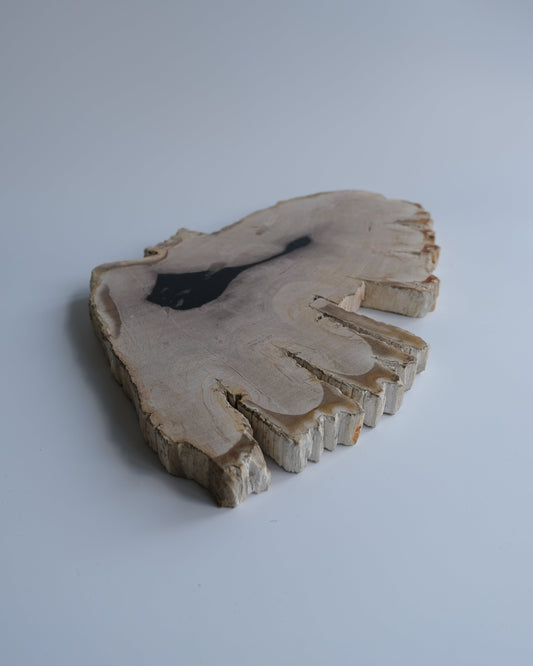 Wood Plate #001