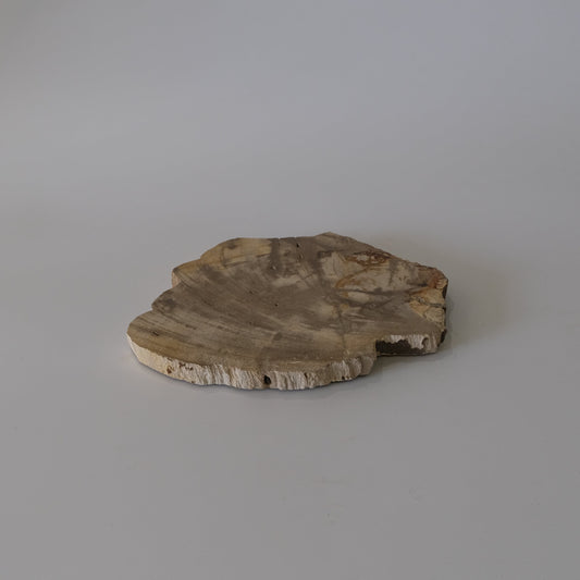 Wood Plate Medium (White)