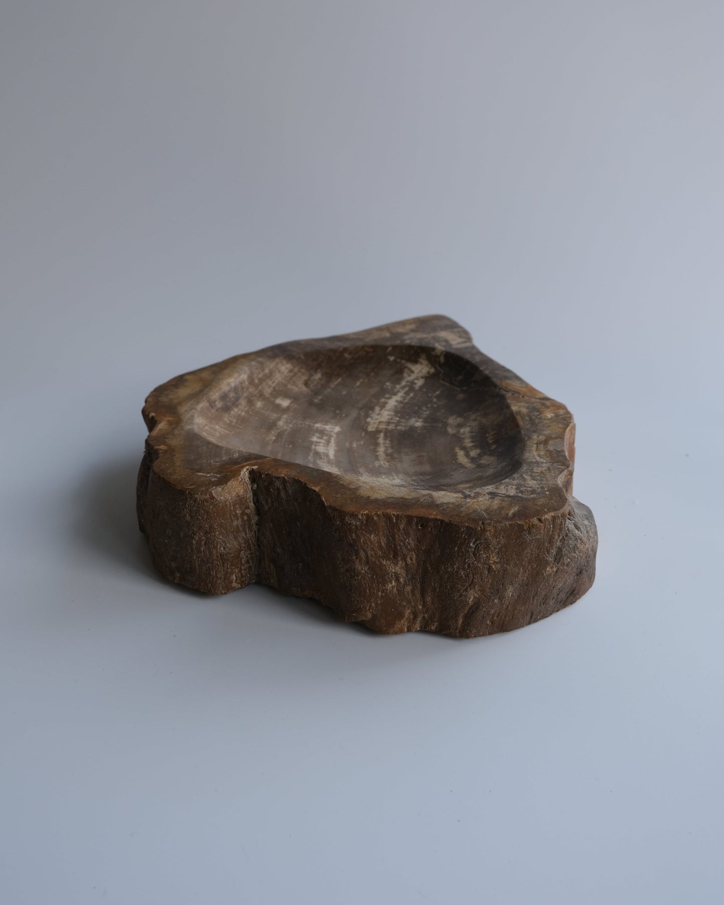 Accessory Tray #250