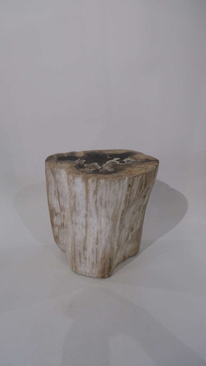 Stool #026