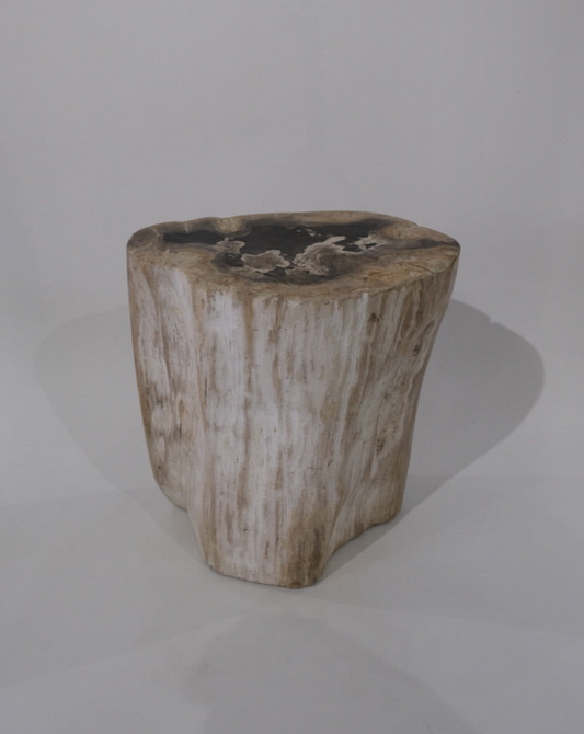 Stool #026