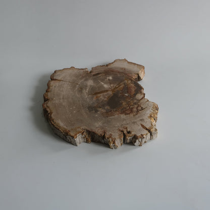 Wood Plate #011