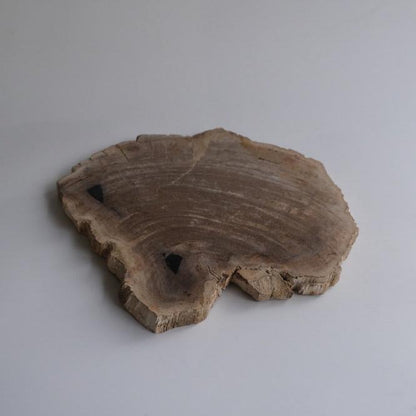 Wood Plate #014