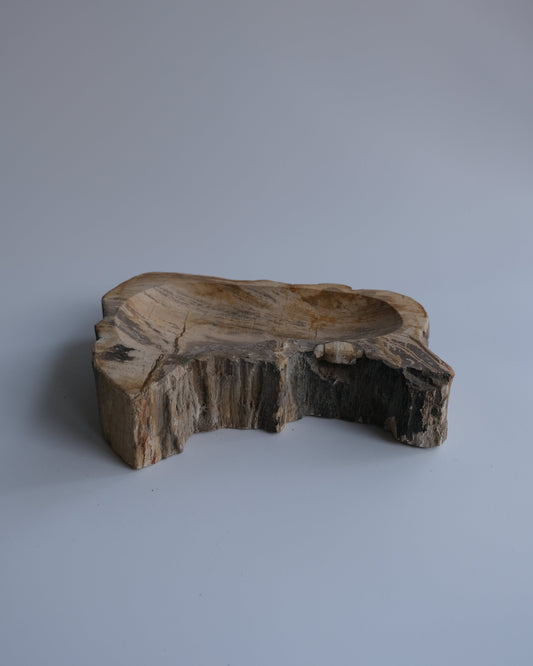Accessory Tray #237