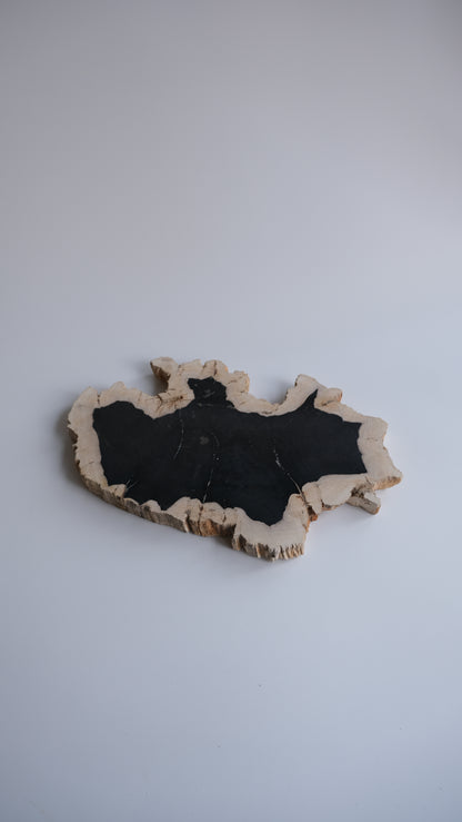 Wood Plate #020