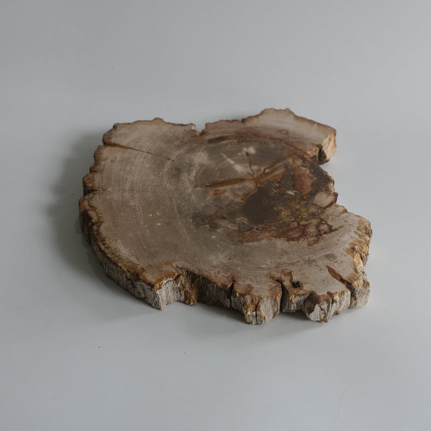 Wood Plate #011